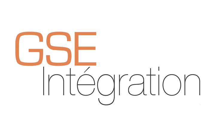 GSE Integration logo